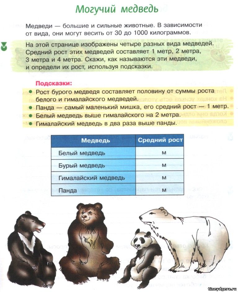 Вес белого. Таблица медведей. Рост медведя. Средний рост медведя. Игровой урок по биологии.